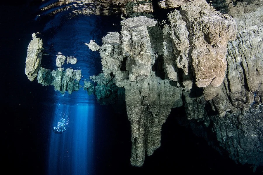 Cenote 7 Bocas in Puerto Morelos