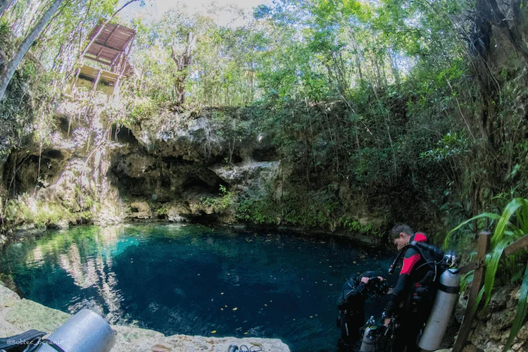 Cenote Zapote photographed from below