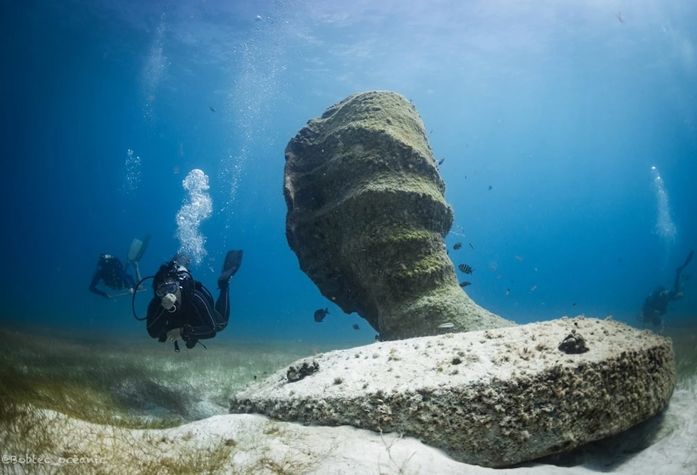 Diving in Playa Del Carmen