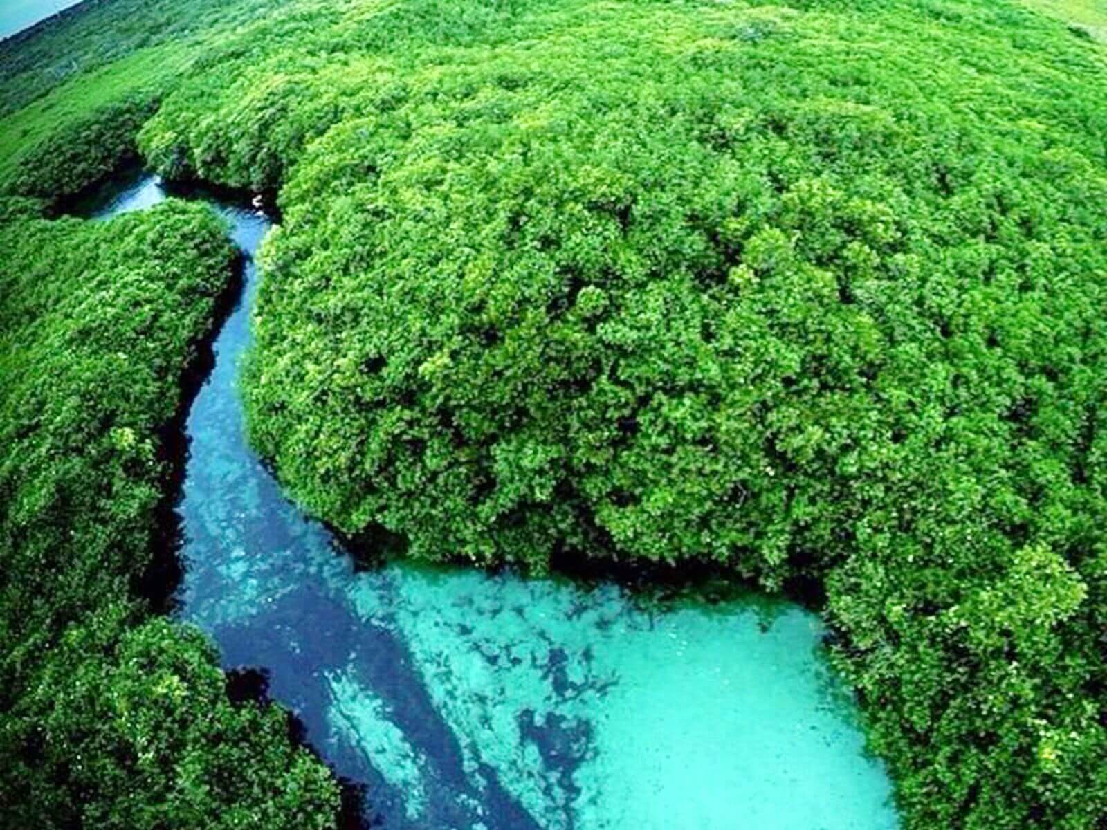 Cenoten tauchen in Mexiko, Die Casa Cenote